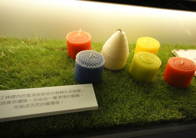 20121111-Central-Yunlin-Honeymuseum-9