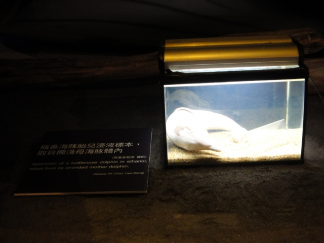 20130629-Eastern-Ilan-Lanyangmuseum-10