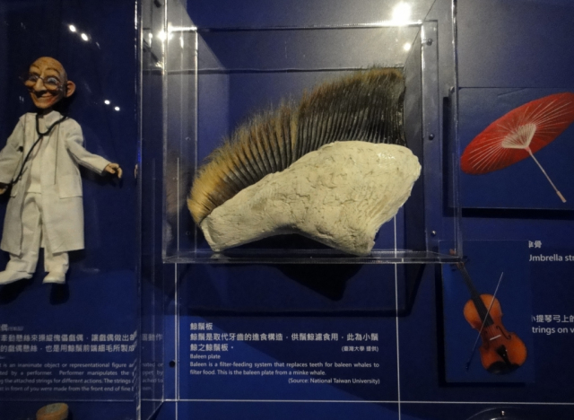 20130629-Eastern-Ilan-Lanyangmuseum-9