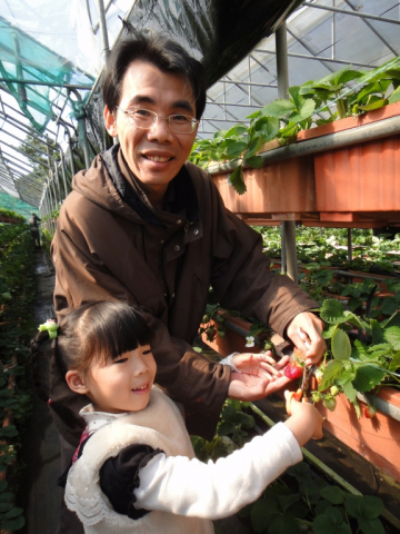 20140101-Northern-Taipei-Strawberrypicking-4