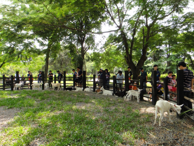 20140907-Southern-Kaohsiung-Goatsfarm-7